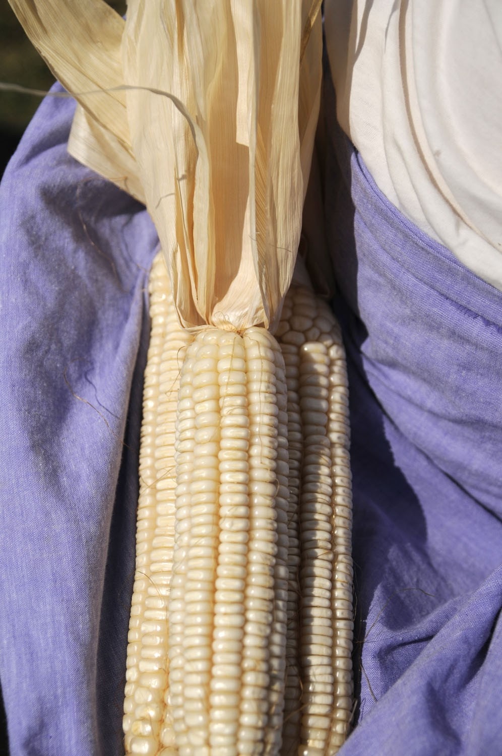 Hickory King Corn Grits