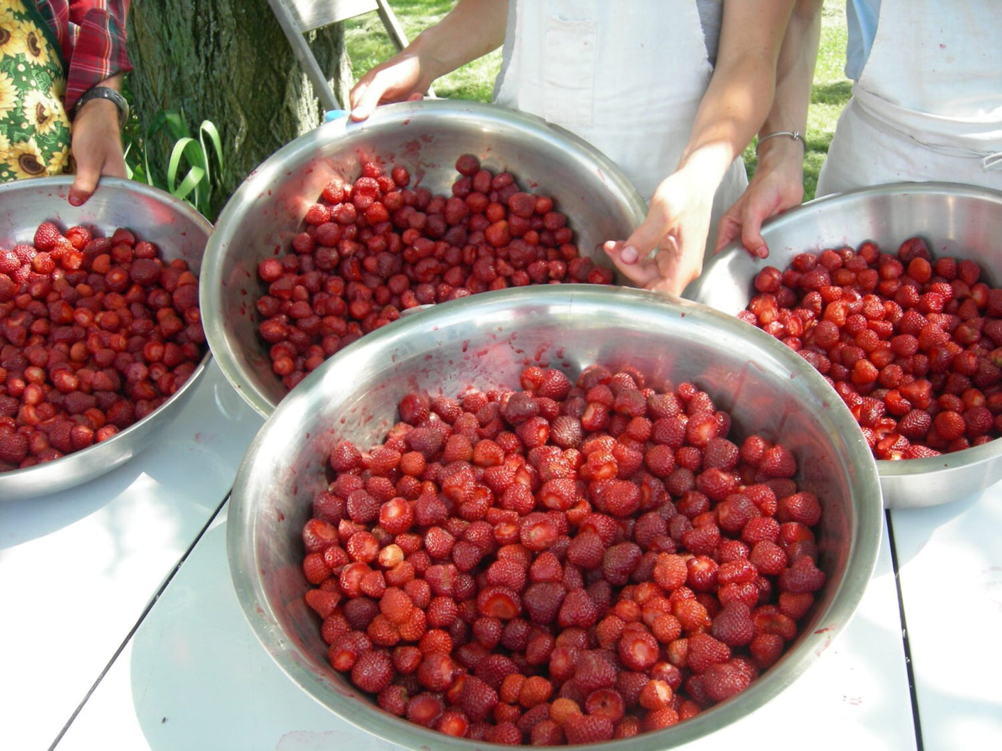 Strawberry Jam