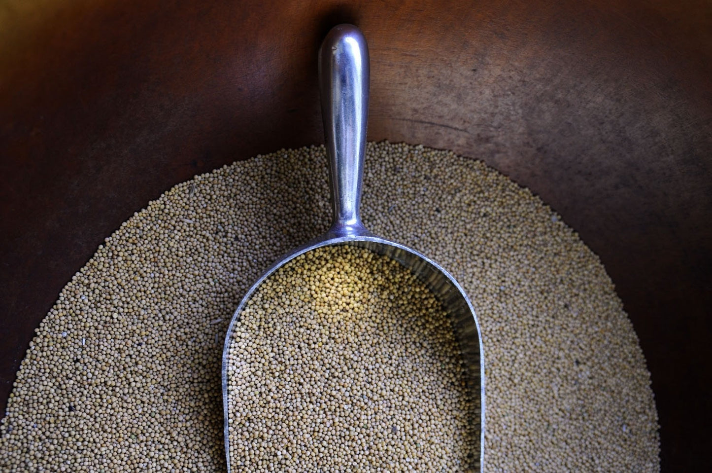 Sweet & Savory Mustard