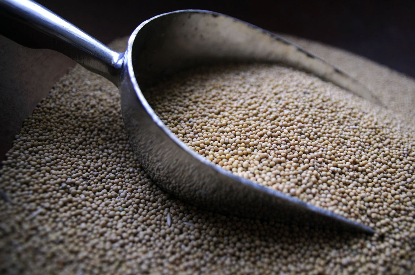 Balsamic Mustard