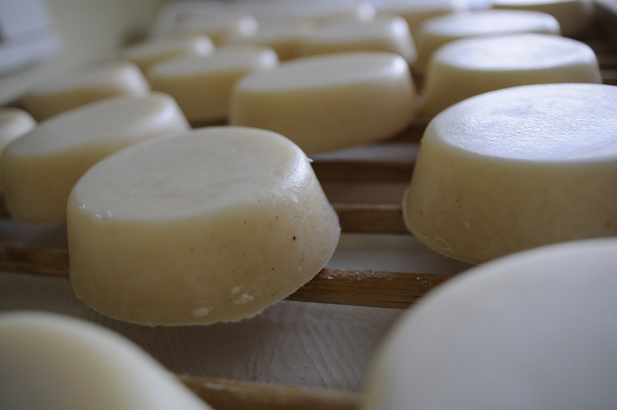 Lemongrass Soap