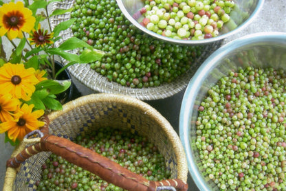 Gooseberry Jam