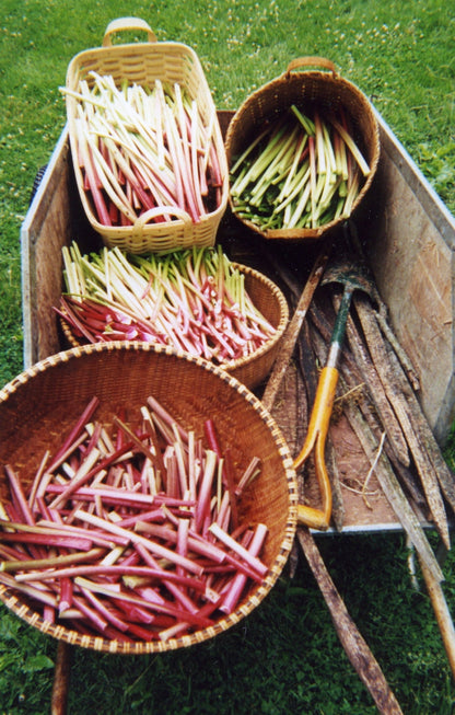 Strawberry Rhubarb Jam