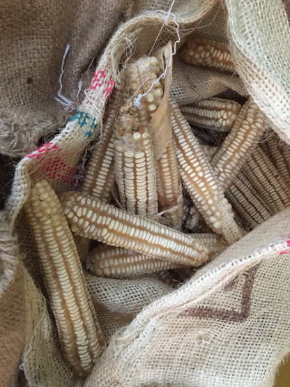 Whole Kernel Hickory King Corn